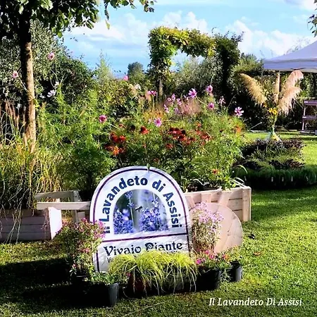 Vacanze Profumo Di Lavanda Assisi Апартаменты Costano